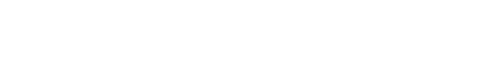 Fever logo theme
