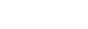 Fever logo theme