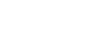Fever logo theme