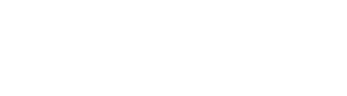 Fever logo theme