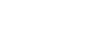 Fever logo theme