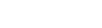 Fever logo theme