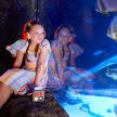 SEA LIFE Discovery Audio Tour