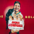 Animal de Compañía