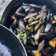 Bottomless Mussels with Pinot at The Cosmopolitan Double Bay