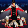 Popovich Comedy Pet Theatre