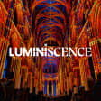 LUMINISCENCE : Plongez dans les secrets d'un monument emblématique de Rouen