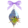 Holiday Workshop: Create 3 Terrarium Holiday Ornaments