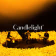 Candlelight: Tribute to A.R. Rahman