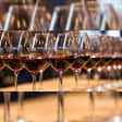 Ungrafted Summer Social: Somm Confidential