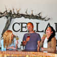 Bodacious Bordeaux Wine Tasting