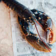 Mariscada para 2 todos os dias no Mercado da Ribeira