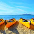 Day sea kayak tour Rangitoto Island