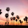 LA Art Run: Venice Beach