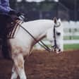 Paseo a caballo en Hípica Prados de Viñuelas