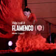 We call it Flamenco: uno spettacolo unico di danza spagnola