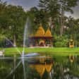 Ashram Rejuvenation Retreat