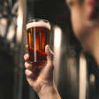 Cerveja Nortada: workshops com degustação e certificado
