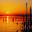 ¡Bio ruta en tantam por L’Albufera!