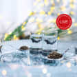 Online Vodka Cocktail & Tasting Experience with Beluga Vodka Kit