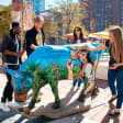 Let’s Roam’s Adelaide Adventure Downtown Scavenger Hunt