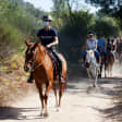 ﻿Horseback riding in the mountains and wine tasting with cocktail