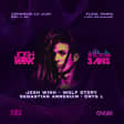 3 ans d'Au Fil Du Son avec Josh Wink