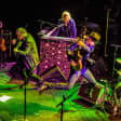 Músicos en la Naturaleza 2019: ¡con Rod Stewart!