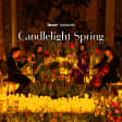 Candlelight Spring: Best of Joe Hisaishi