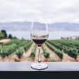 Curso online de gestión de enoturismo y visita a bodega