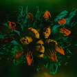 ORANSSI PAZUZU