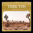 Tributos: lo mejor de U2 en el Teatro Pavón