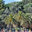 Las gemas ocultas verdes y saludables de la Barceloneta