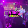 Mingo Bingo: La fiesta neon más salvaje