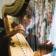 Concerto privado de harpa a bordo com Rebeca Csalog