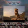 El Rey León en Autocine Málaga Metrovacesa