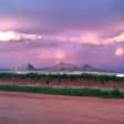 Fine Wineing - A Wine Tasting Experience in the vineyards of the Desert!