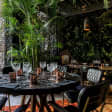 Light up the Jungle : Nouvel An au Kube Hôtel****