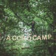 Parc d'accrobranche AccroCamp Paris-Jablines