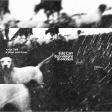 Edd Carr: Eco-visions in Motion