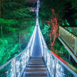 Vancouver: Christmas Tour with Capilano Canyon Lights