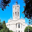 Auckland Guided Half Day Walking Tour