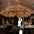 Paradox After Dark