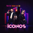 Iconos