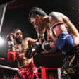 Festival La Belle Équipe : combats de muaythaï