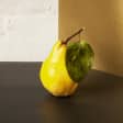 Frutos de otoño 5
