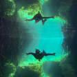 Beginner Freediving Class