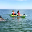 Small Group Dolphin Kayak Eco-Tour