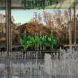 Photo Scavenger Hunts for Small Groups
