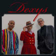 Dexys : concert à la Cigale